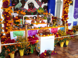 IMG_20251031_122230072_HDR