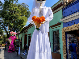 IMG_20251031_140034600_HDR