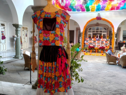 IMG_20251031_155021761_HDR