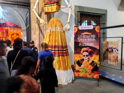 IMG_20251031_191829586_HDR