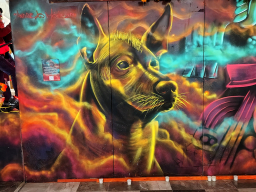 IMG_20251031_193124072_HDR