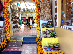 IMG_20251101_102654976_HDR