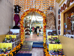 IMG_20251101_102700344_HDR