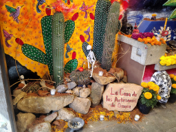 IMG_20251101_110118846_HDR