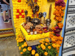 IMG_20251101_110142365_HDR